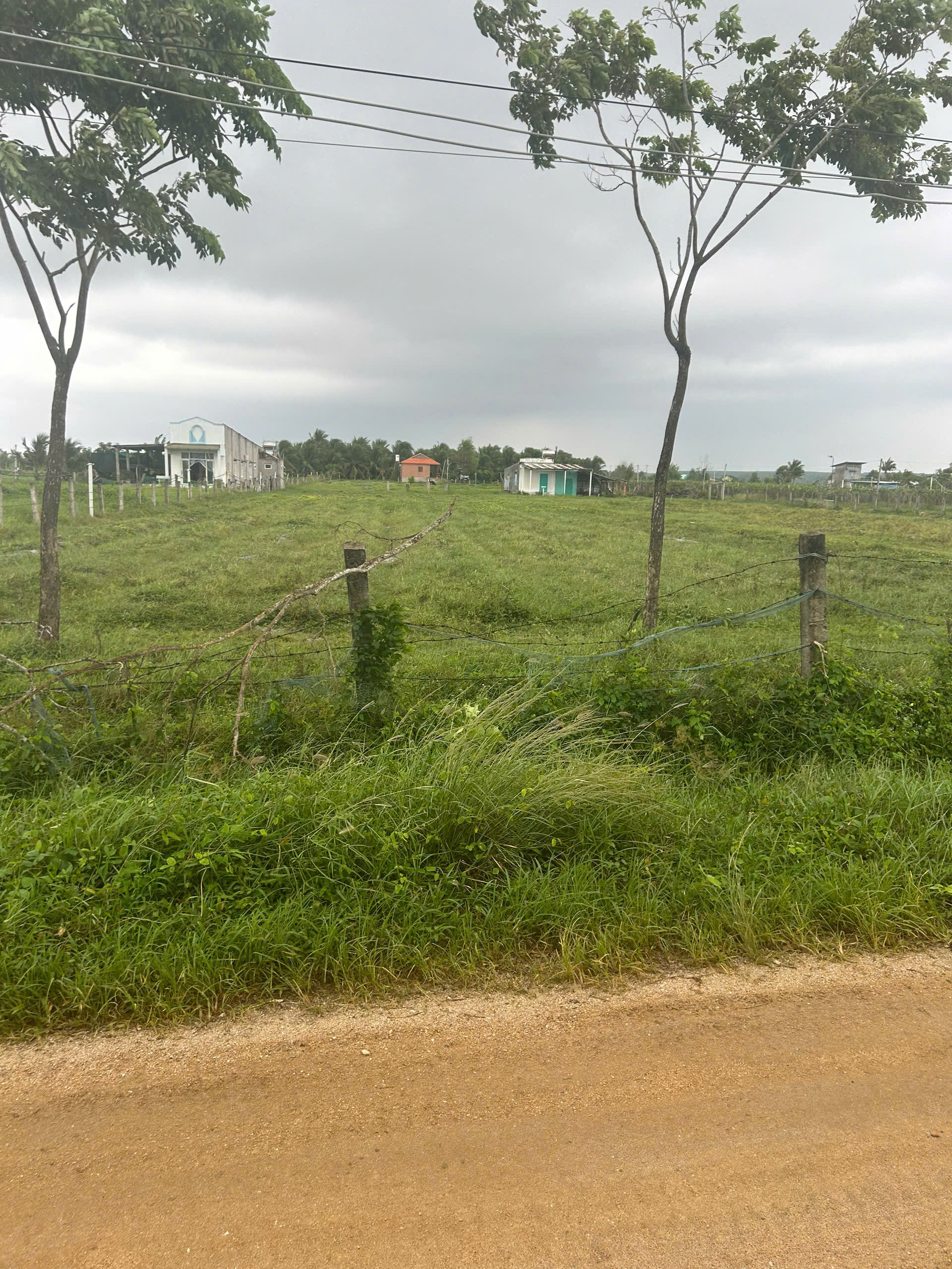 Bán 500m2 đất thổ cư hẻm Nguyễn Tri Phương, LaGi giá đầu tư gần biển-4
