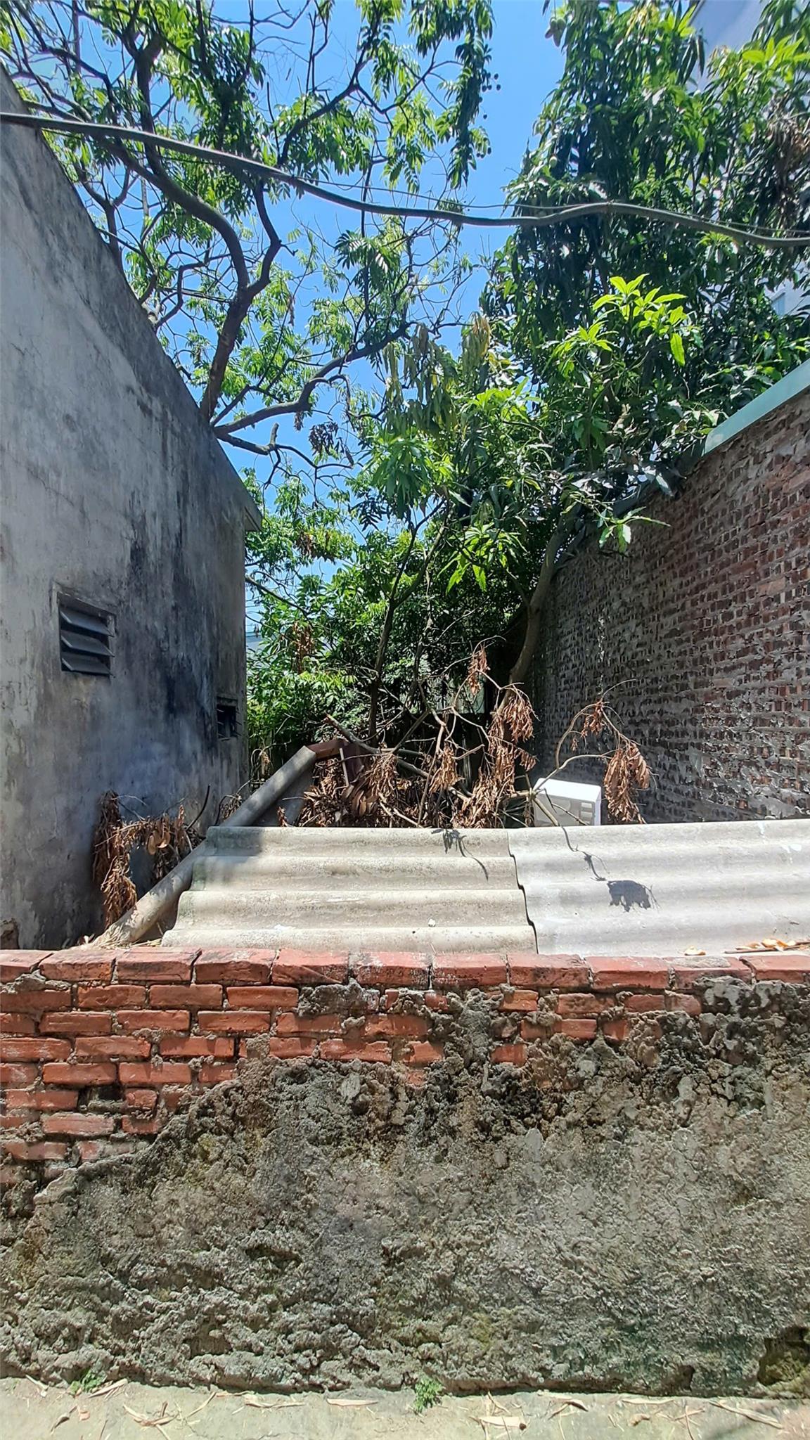 Bán đất Đại Áng 30m², ô tô vào đất giá chỉ 3,5 tỷ có thương lượng