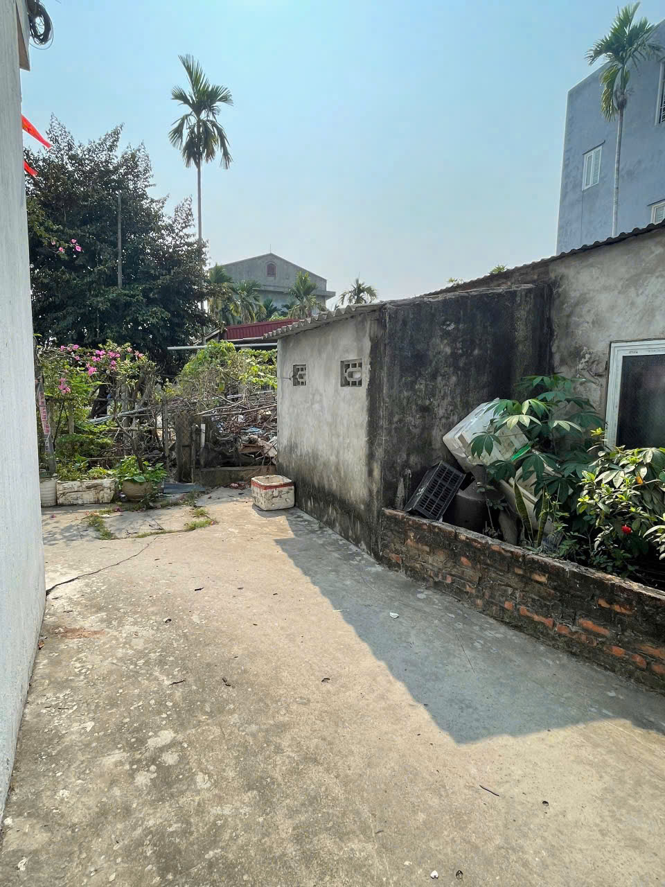 🏡 ĐẤT ĐẸP ĐÔNG HẢI – MẶT TIỀN 5,4M VUÔNG VẮN – CHỈ 1,39 TỶ