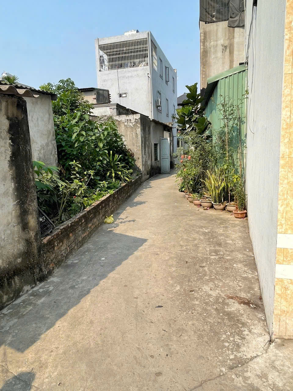 🏡 ĐẤT ĐẸP ĐÔNG HẢI – MẶT TIỀN 5,4M VUÔNG VẮN – CHỈ 1,39 TỶ