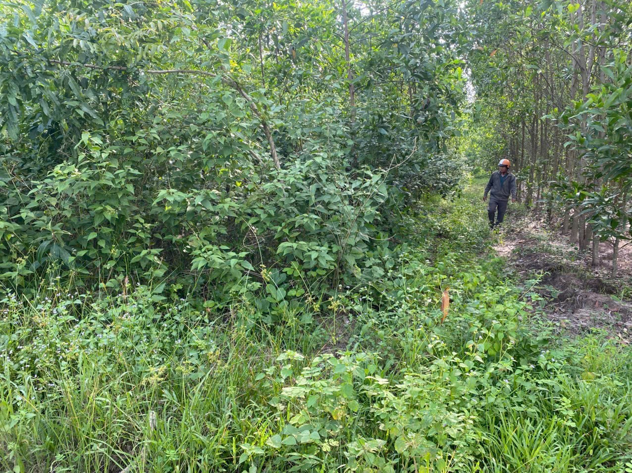 ĐẦU TƯ SINH LỜI - Chính Chủ Cần Bán Lô Đất Tại Xã Suối Cao, Xuân Lộc, Đồng Nai-1