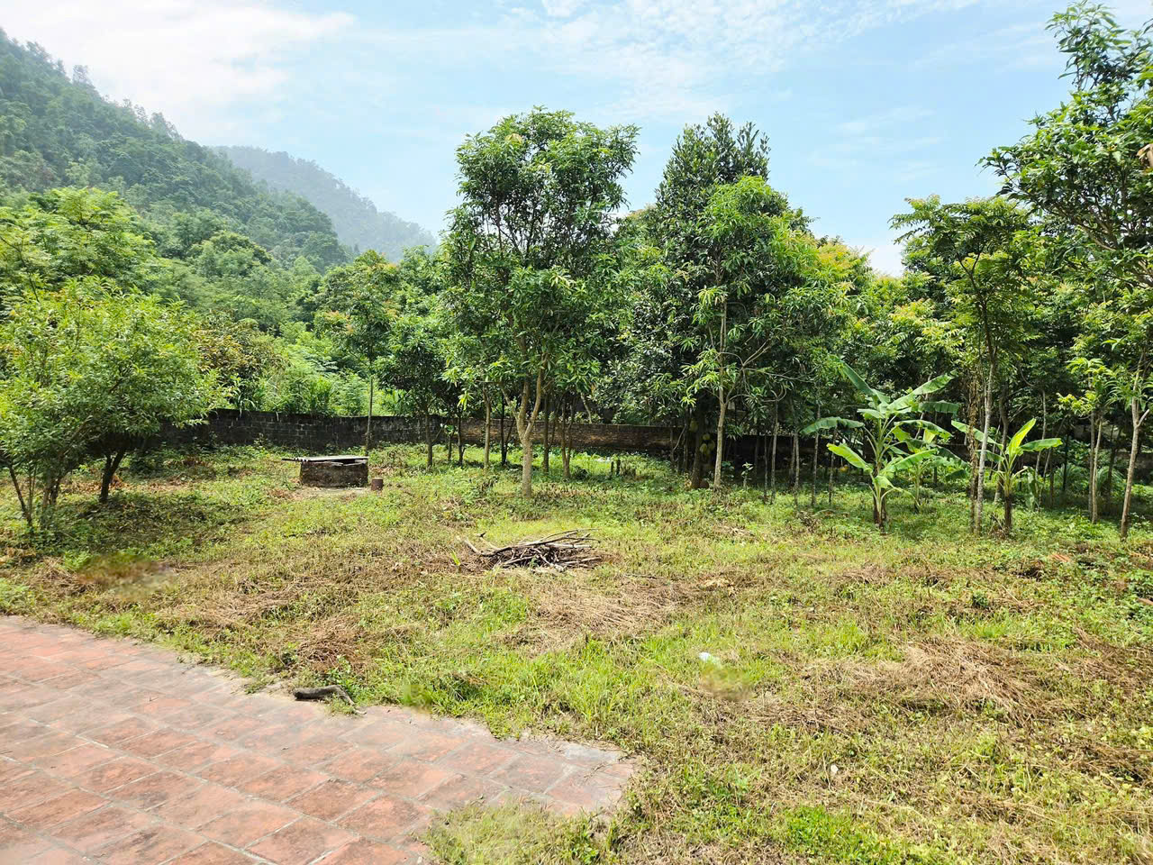 CHÍNH CHỦ CẦN BÁN ĐẤT GẦN KHU DU LỊCH TÂY THIÊN – TAM ĐẢO-3