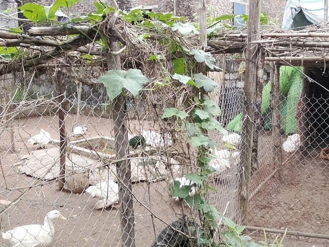 CHÍNH CHỦ BÁN LÔ ĐẤT VỊ TRÍ TRUNG TÂM THÔN TÂN HƯNG, XÃ HÙNG CƯỜNG, TP. HƯNG YÊN-3