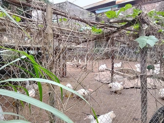 CHÍNH CHỦ BÁN LÔ ĐẤT VỊ TRÍ TRUNG TÂM THÔN TÂN HƯNG, XÃ HÙNG CƯỜNG, TP. HƯNG YÊN