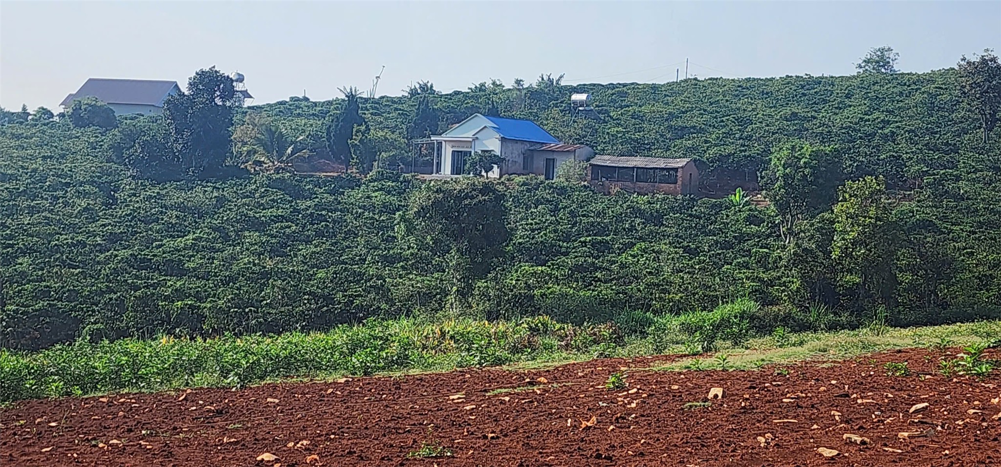 ĐẤT ĐẸP – GIÁ TỐT – CHÍNH CHỦ CẦN BÁN ĐẤT TẠI Nam Hà, Lâm Hà, Lâm Đồng-3