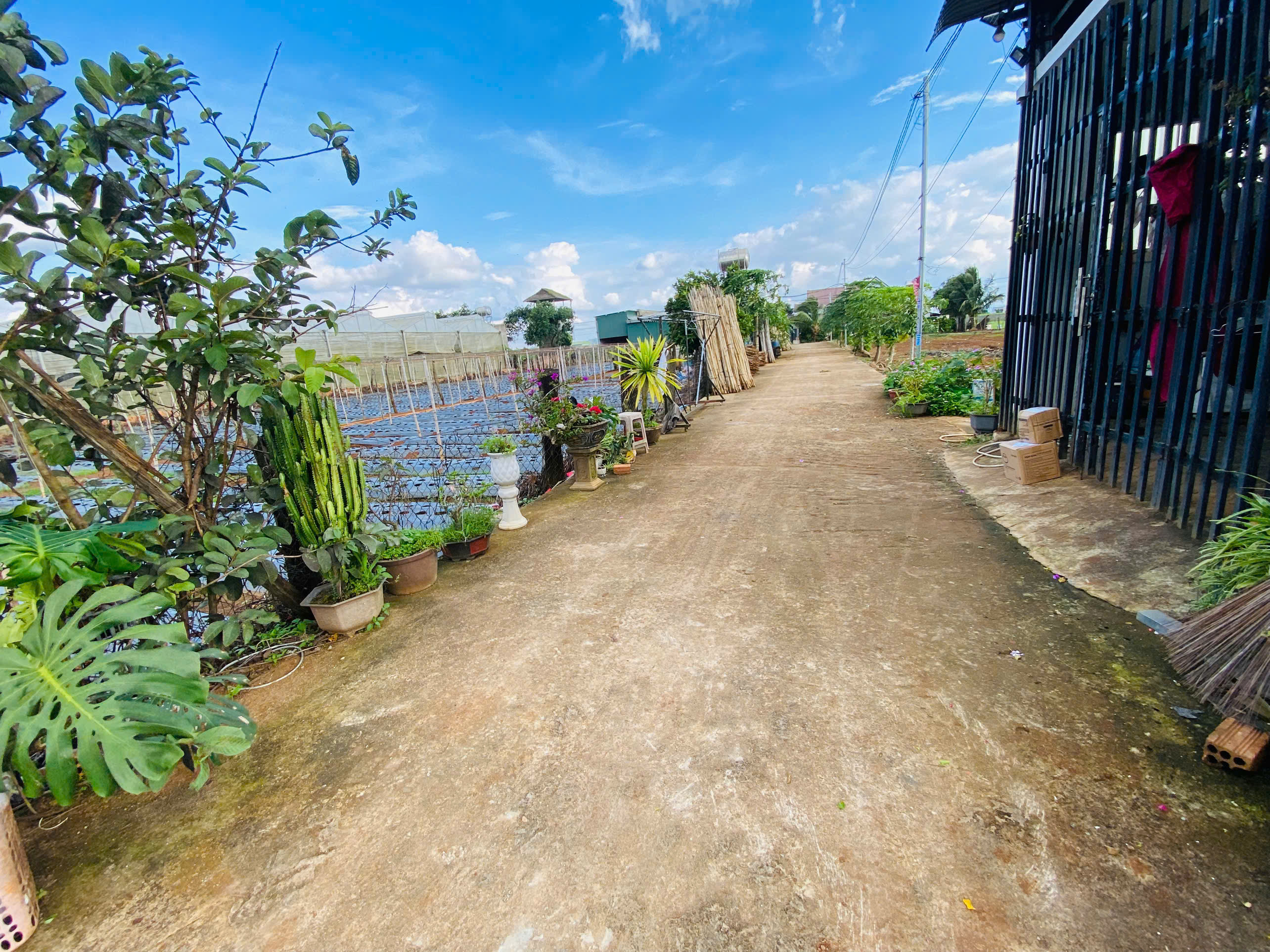 Bán 128m2 đất gần hồ Nam Sơn ĐỨC TRỌNG  LÂM ĐỒNG 1 tỷ 300 triệu