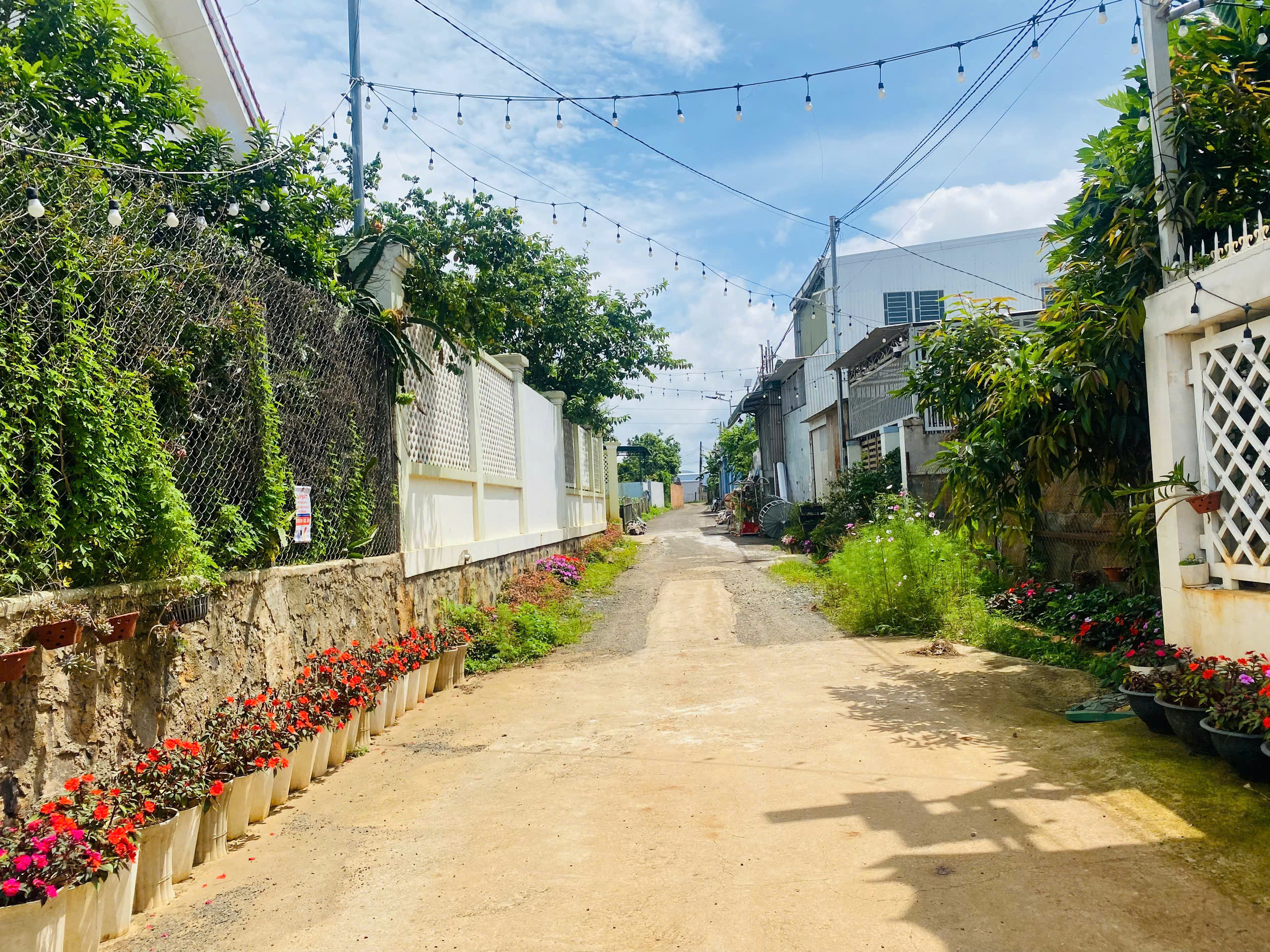 Bán 369m2 đất Trần Phú  thị trấn Liên Nghĩa Đức Trọng  Lâm Đồng  giá 4.7 tỷ