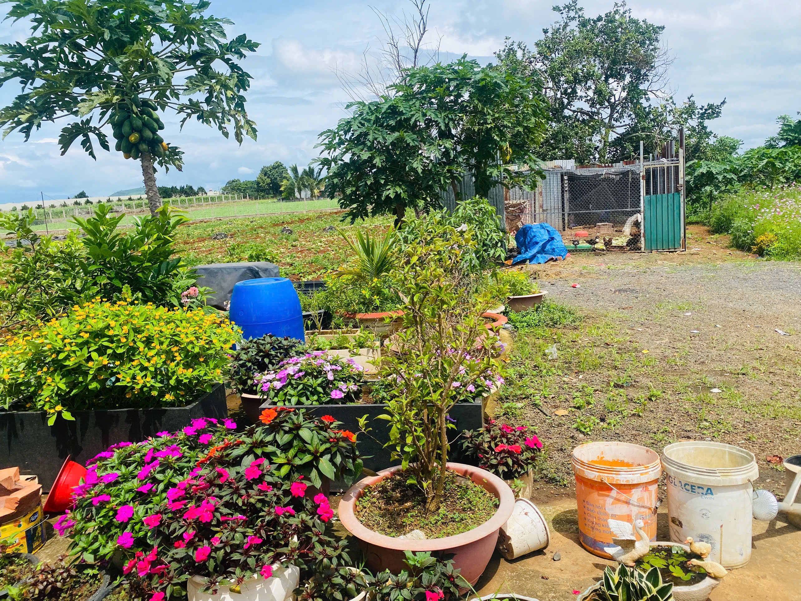 Bán 369m2 đất Trần Phú  thị trấn Liên Nghĩa Đức Trọng  Lâm Đồng  giá 4.7 tỷ