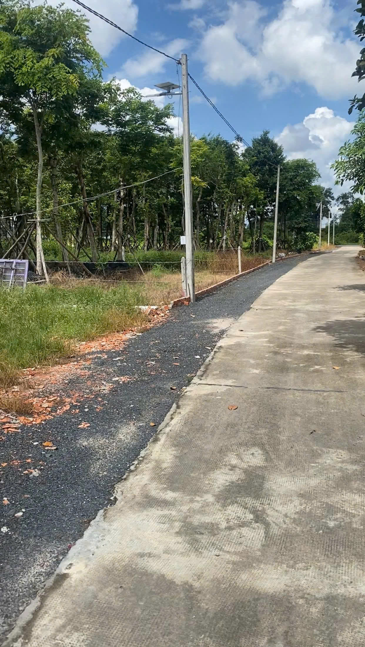 CHỦ ÔM HẾT NỔI – CẦN BÁN GẤP VƯỜN MÍT 175M² CÓ SẴN THỔ CƯ NGAY TRUNG TÂM CHƠN THÀNH – GIÁ CHỈ 6XXTR
