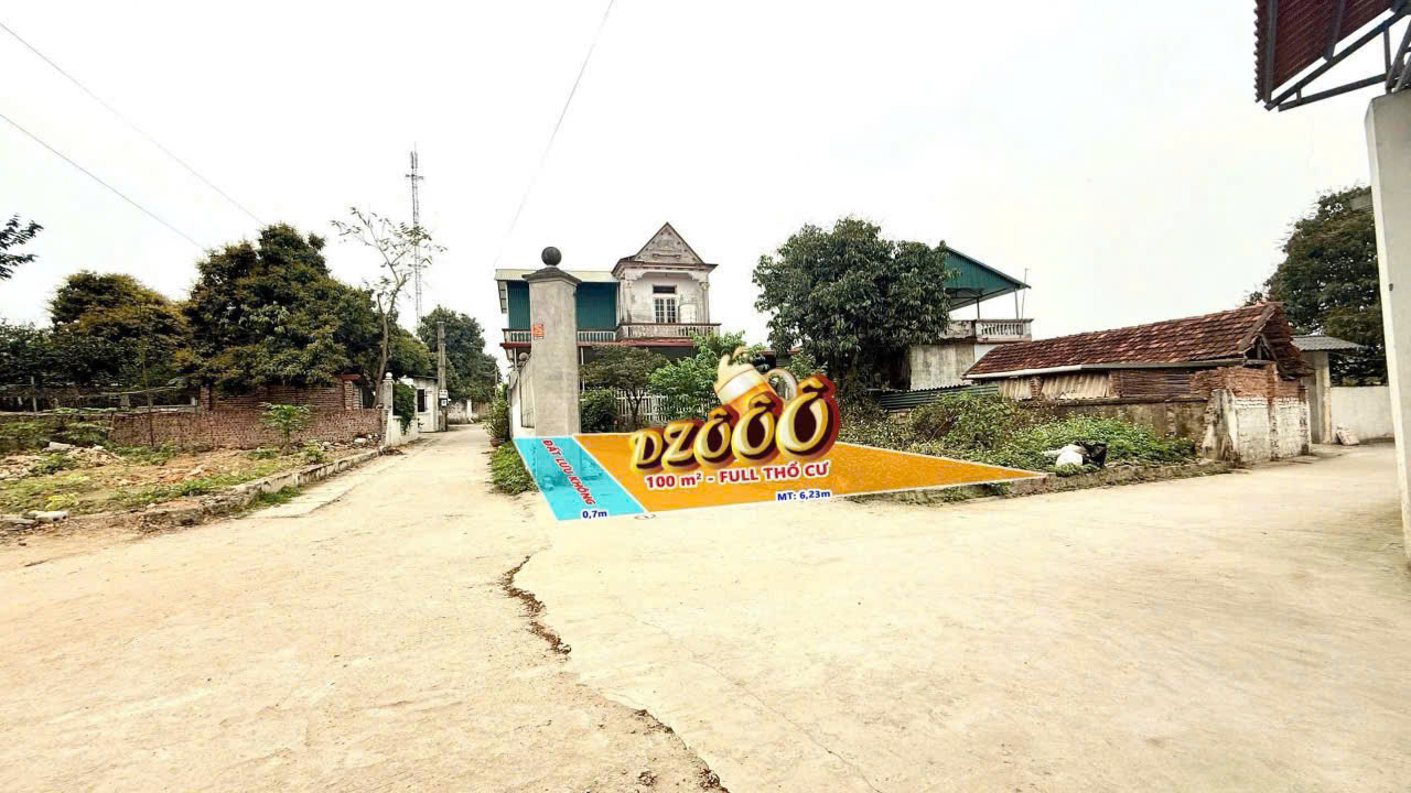 Chính chủ bán lô góc Tam Dương, Vĩnh Phúc 111m2 - Băng 2 ĐT306, Băng 2 ĐT309, đầu tư sinh lời hấp dẫn