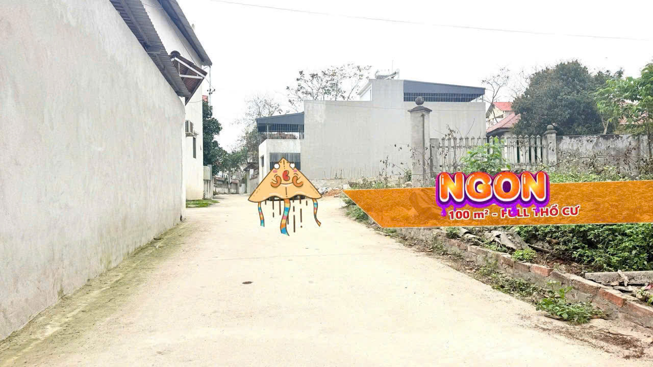 Chính chủ bán lô góc Tam Dương, Vĩnh Phúc 111m2 - Băng 2 ĐT306, Băng 2 ĐT309, đầu tư sinh lời hấp dẫn
