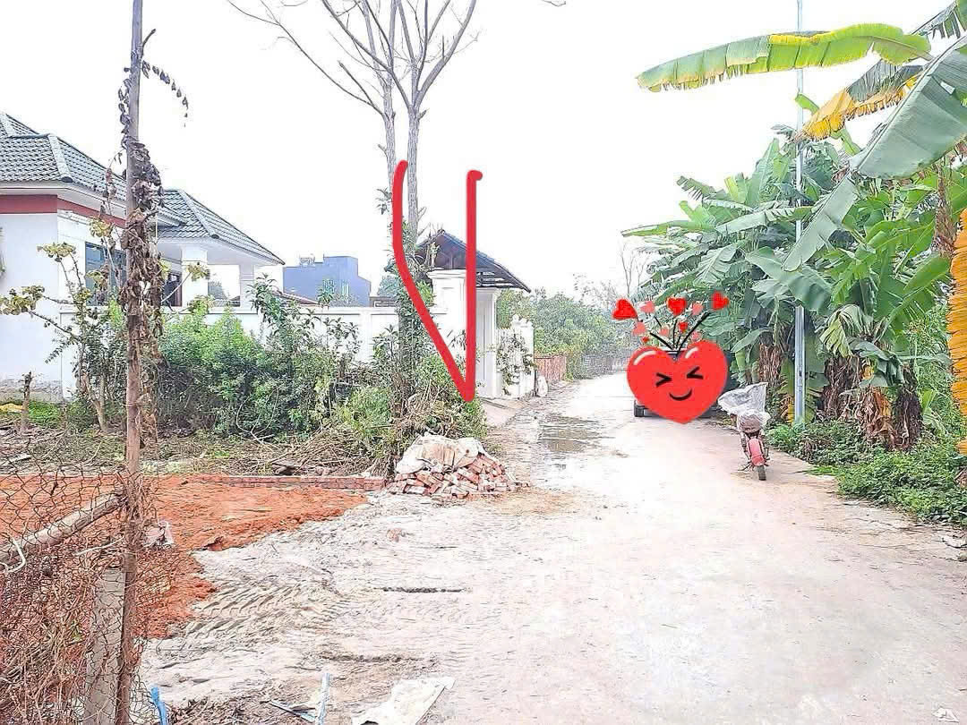 Đất 2 mặt đường Phú Ninh, Hội Thịnh - 106,7m2 ô tô tránh, sổ đỏ chính chủ chỉ 1,65 tỷ-3