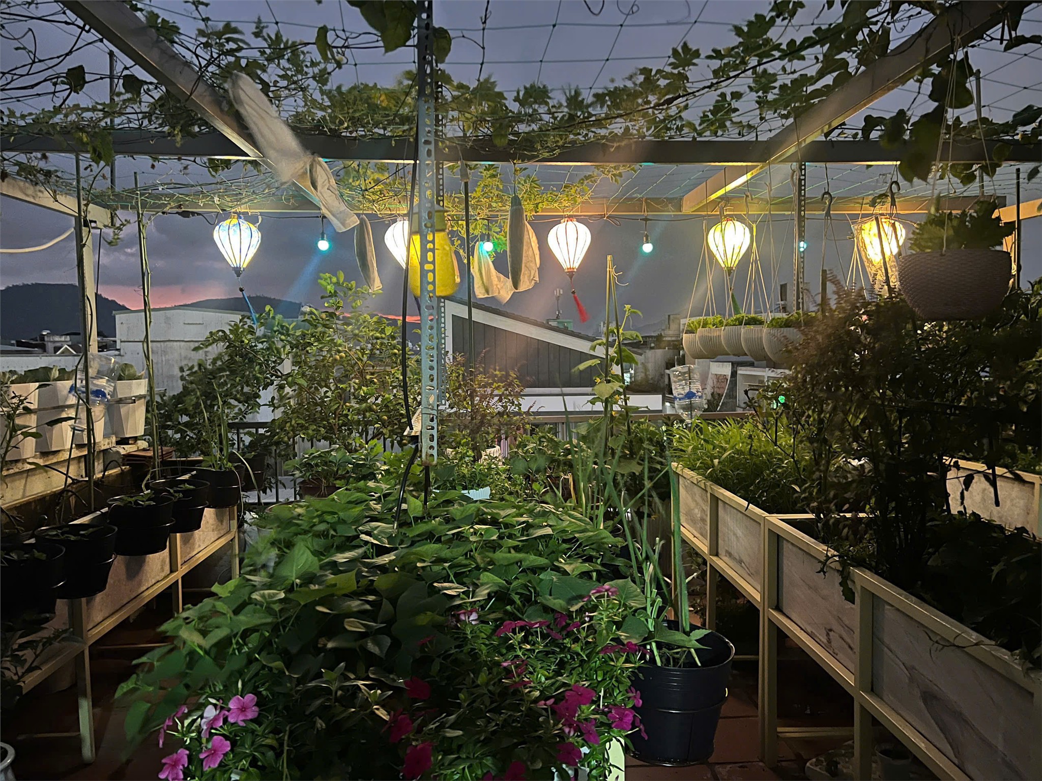 BÁN NHÀ 3 TẦNG 1 TUM – SÂN VƯỜN XANH MÁT & ĐIỆN NĂNG LƯỢNG MẶT TRỜI – Trần Can, Thanh Khê, Đà Nẵng