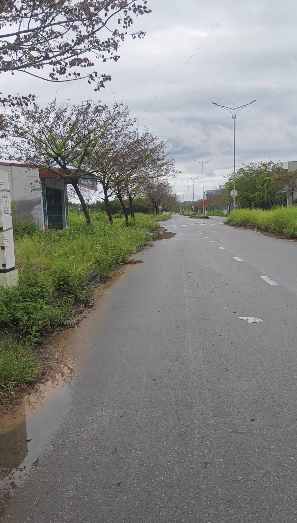 ĐẤT ĐẸP- GIÁ TỐT BÁN NHANH LÔ ĐẤT ĐẦU TƯ LÀ SINH LỜI TẠI huyện Yên Thế, tỉnh Bắc Giang