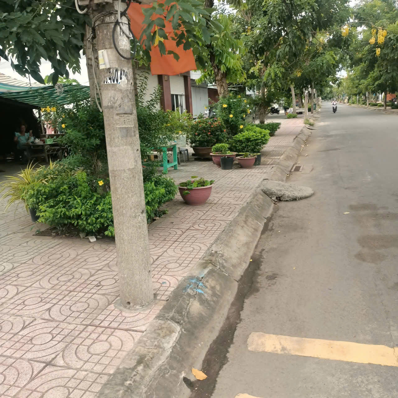 BÁN ĐẤT MẶT TIỀN ĐƯỜNG CHÍNH ĐOÀN GIỎI –  TIỀN GIANG, VỊ TRÍ ĐẸP, TIỀM NĂNG KINH DOANH