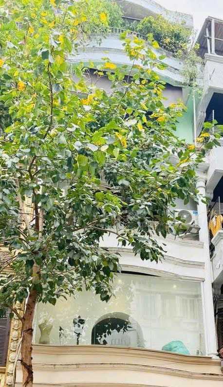 CHÍNH CHỦ CHO THUÊ NHÀ MẶT PHỐ 2,5 TẦNG – ĐƯỜNG TRIỆU VIỆT VƯƠNG, TRUNG TÂM HÀ NỘI