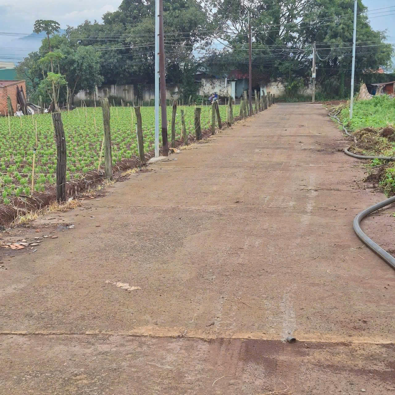 Bán 198m2 đất tổ 34 thị trấn Liên Nghĩa ĐứcTtrọng Lâm Đồng Giá 1 tỷ 500 triệu