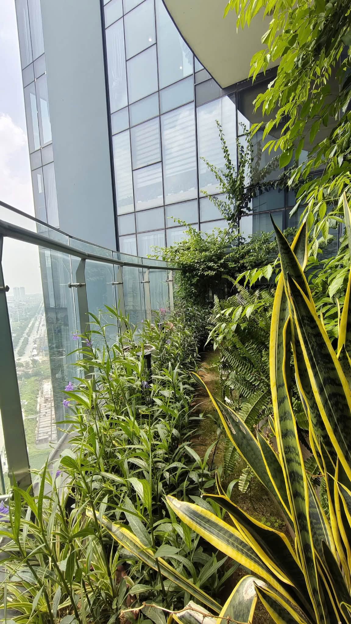 BÁN CĂN HỘ 3PN TẦNG CAO – VIEW SÔNG, CẠNH VƯỜN TREO S3 SUNSHINE CITY I 13.9 TỶ.-3