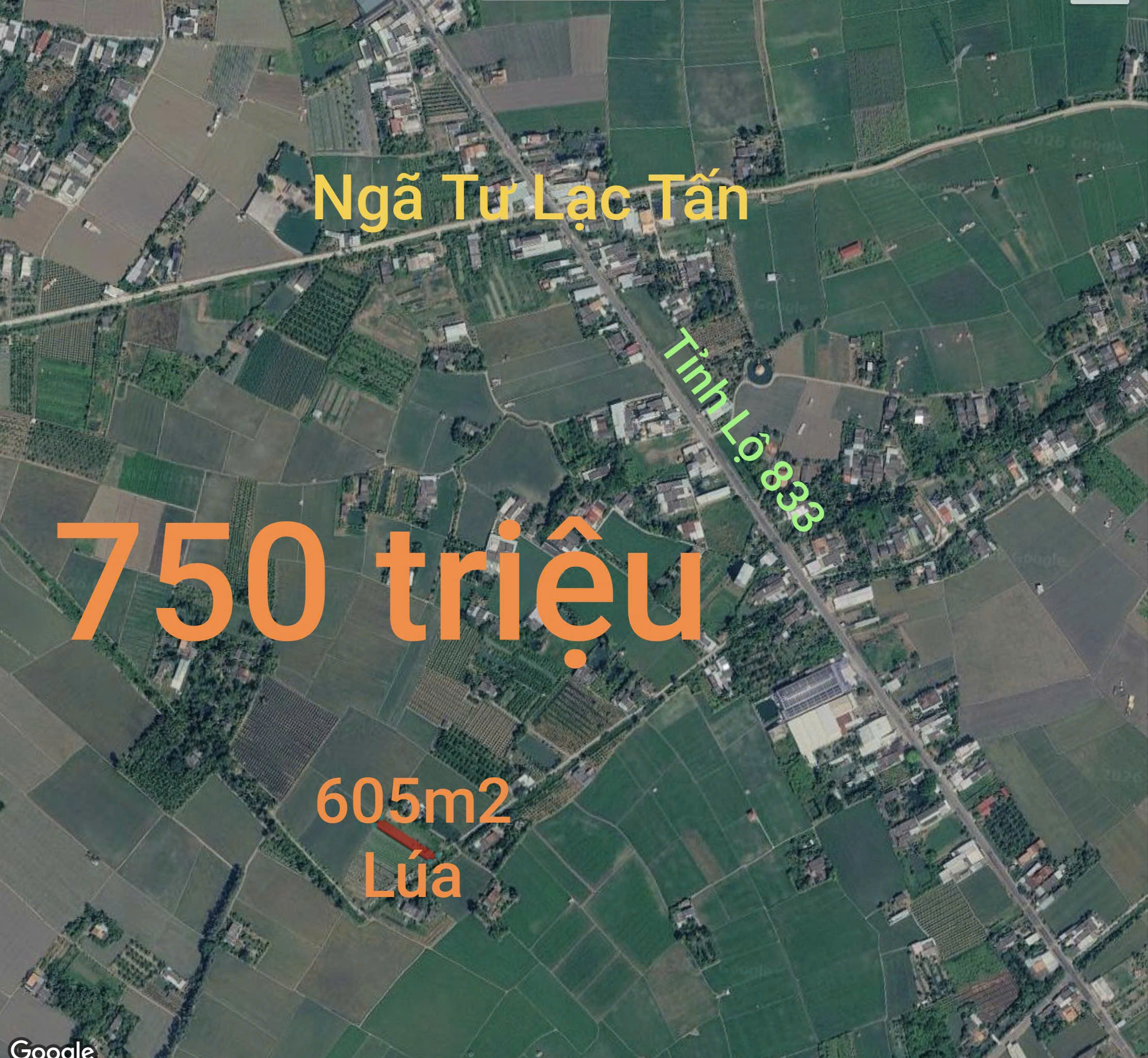 Bán lô đất lúa chuyển thổ đường bê tông 2,5m giá 750 triệu