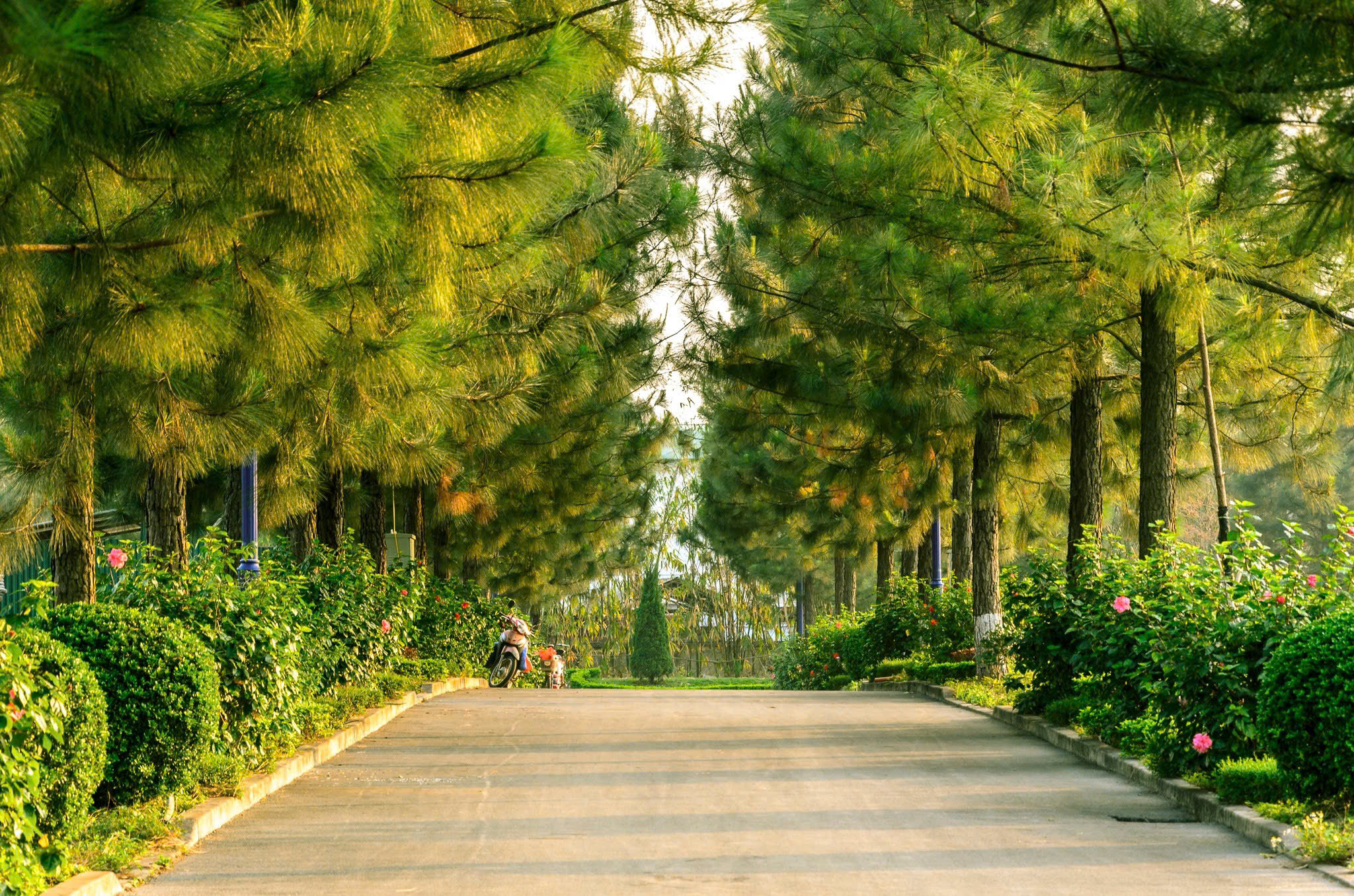 Biệt thự đơn lập 400m2 The Phoenix Garden, Đan Phượng -Đón sóng Đại lộ Tây Thăng Long và Vành đai 4-4
