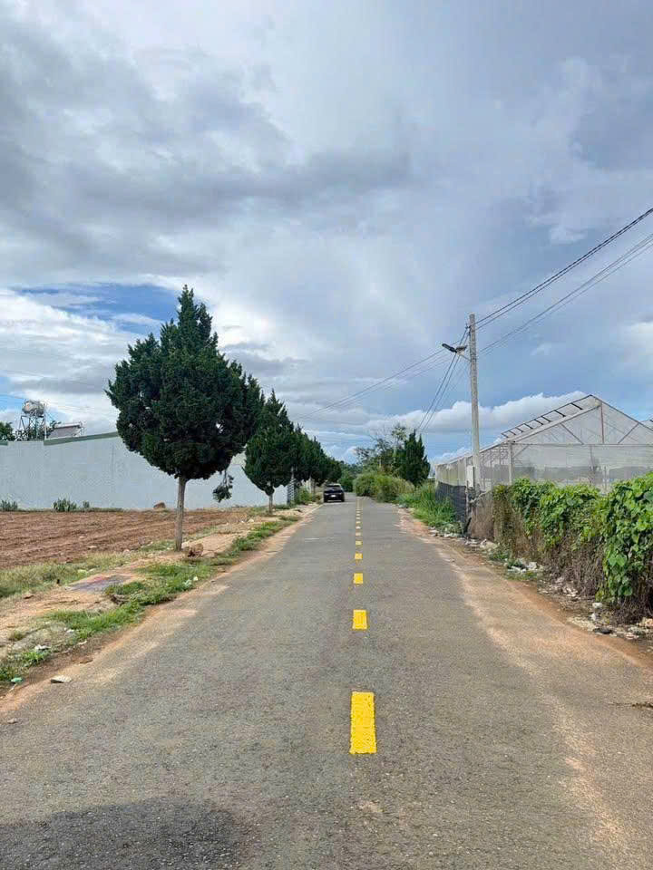 Bán Đất Phú Hội Đức Trọng 1tỷ450 dt 5x27m Gần Quốc Lộ 20, Sổ Riêng Thổ Cư