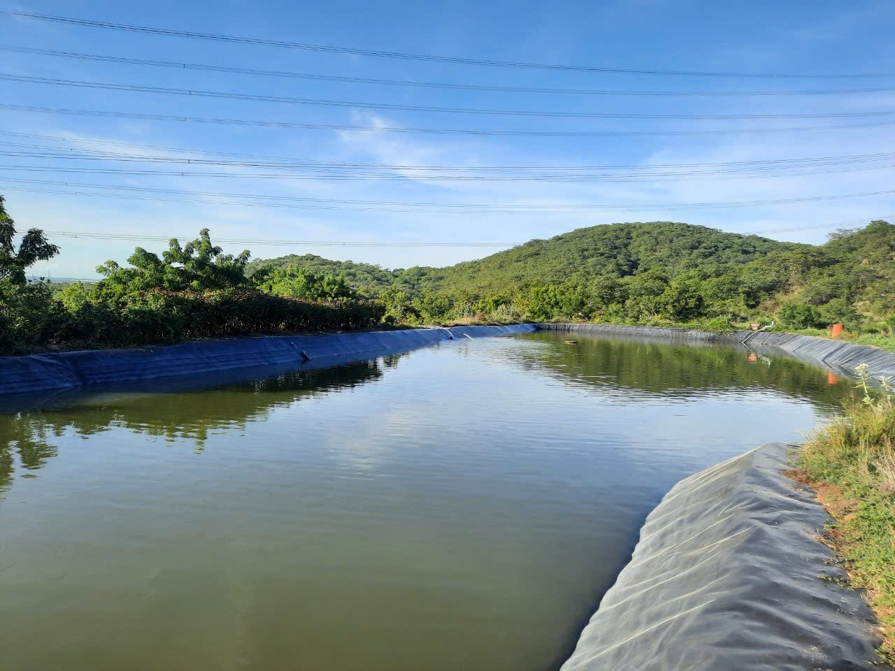 CHÍNH CHỦ BÁN VƯỜN CLN 17,7 Ha tại xã Phú Lạc, Bình Thuận (cũ)-3