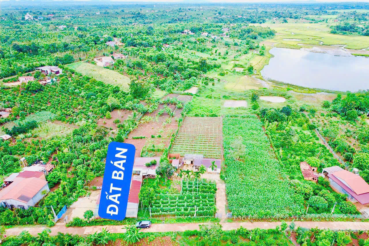 CẦN BÁN LÔ ĐẤT TẠI THÔN 7, XÃ EA NING, HUYỆN CƯ KUIN, ĐẮK LẮK