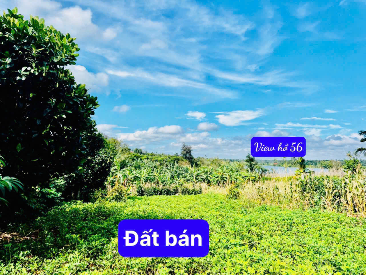 CẦN BÁN LÔ ĐẤT TẠI THÔN 7, XÃ EA NING, HUYỆN CƯ KUIN, ĐẮK LẮK