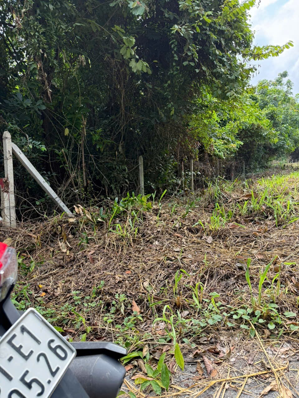 ĐẤT ĐẸP- GIÁ TỐT BÁN NHANH LÔ ĐẤT ĐẦU TƯ LÀ SINH LỜI TẠI Thành phố Bến Cát, Bình Dương