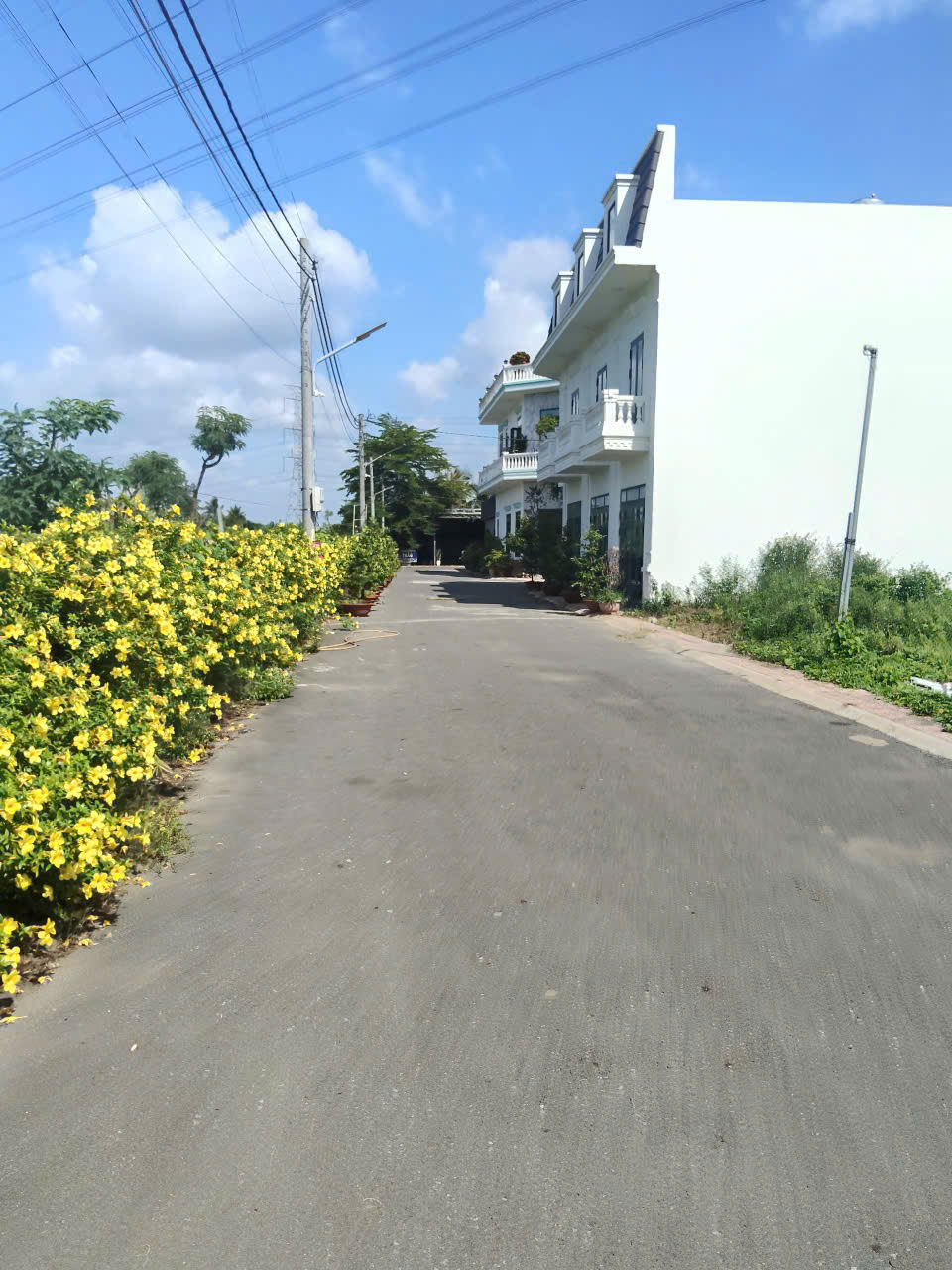 BÁN ĐẤT NÊN VÀ NHÀ THÔ KDC TÂN HIỆP ,CHÂU THÀNH,TIỀN GIANG