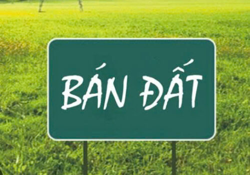 Chính chủ bán đất dịch vụ khu 1 Đồng Mai, Hà Đông, Hà Nội-1