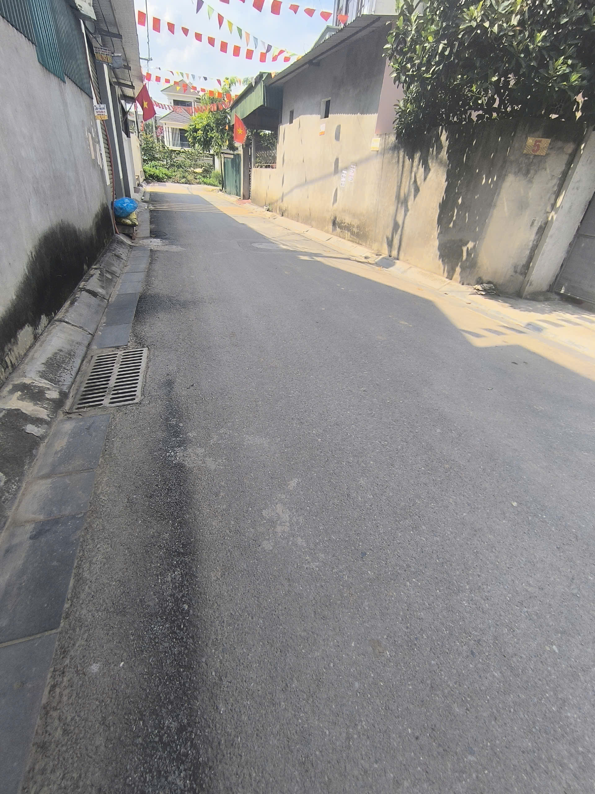 Đất 422m2 tại Nguyên Khê-Phúc Thịnh-Đông Anh-Hà Nội. Giá Nhỉn 29 tỷ-3