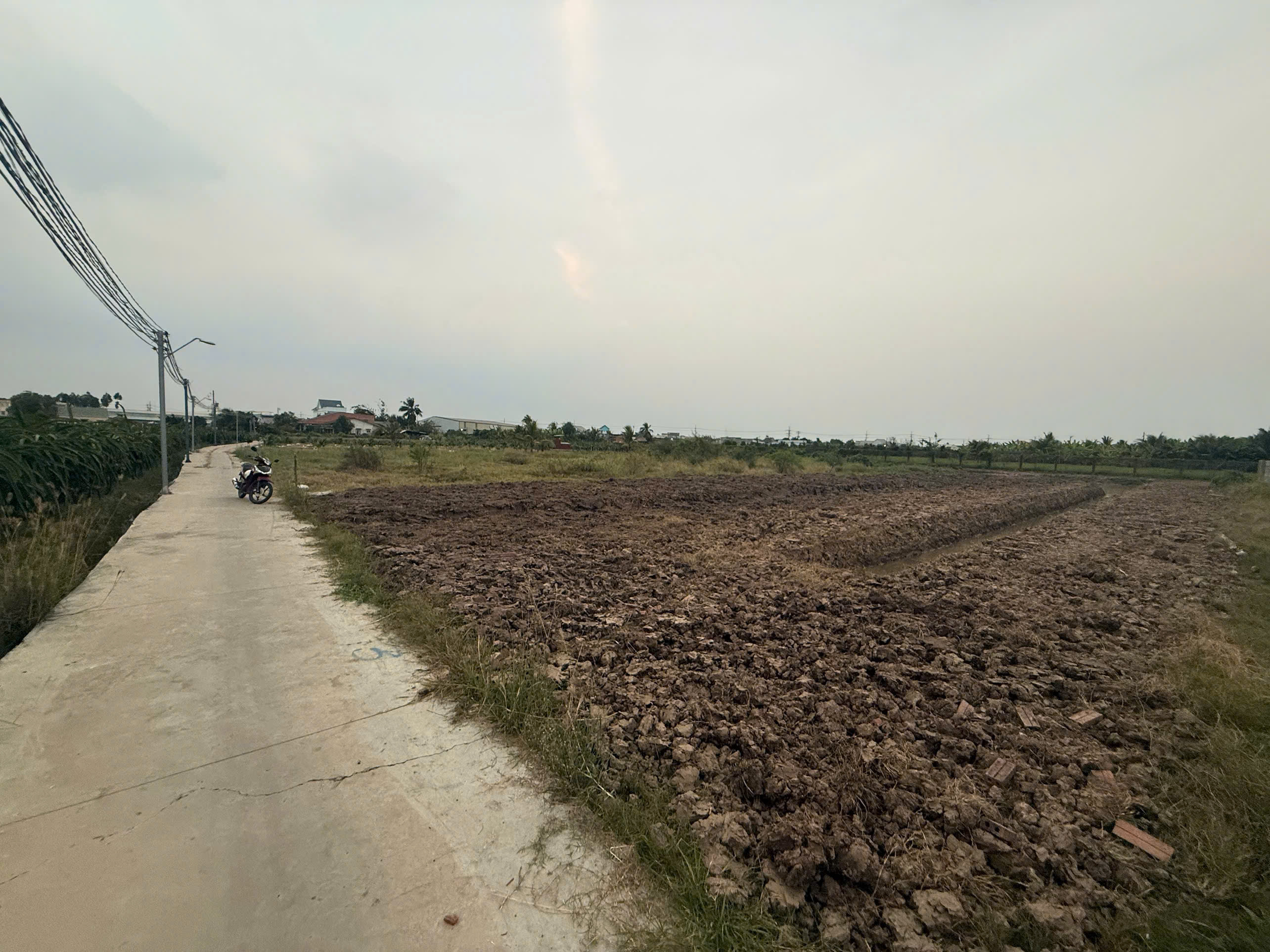 BÁN 1.000m² ĐẤT VƯỜN GIÁ MỀM – GẦN CHỢ CẦU VUÔNG - CHÂU THÀNH, LONG AN