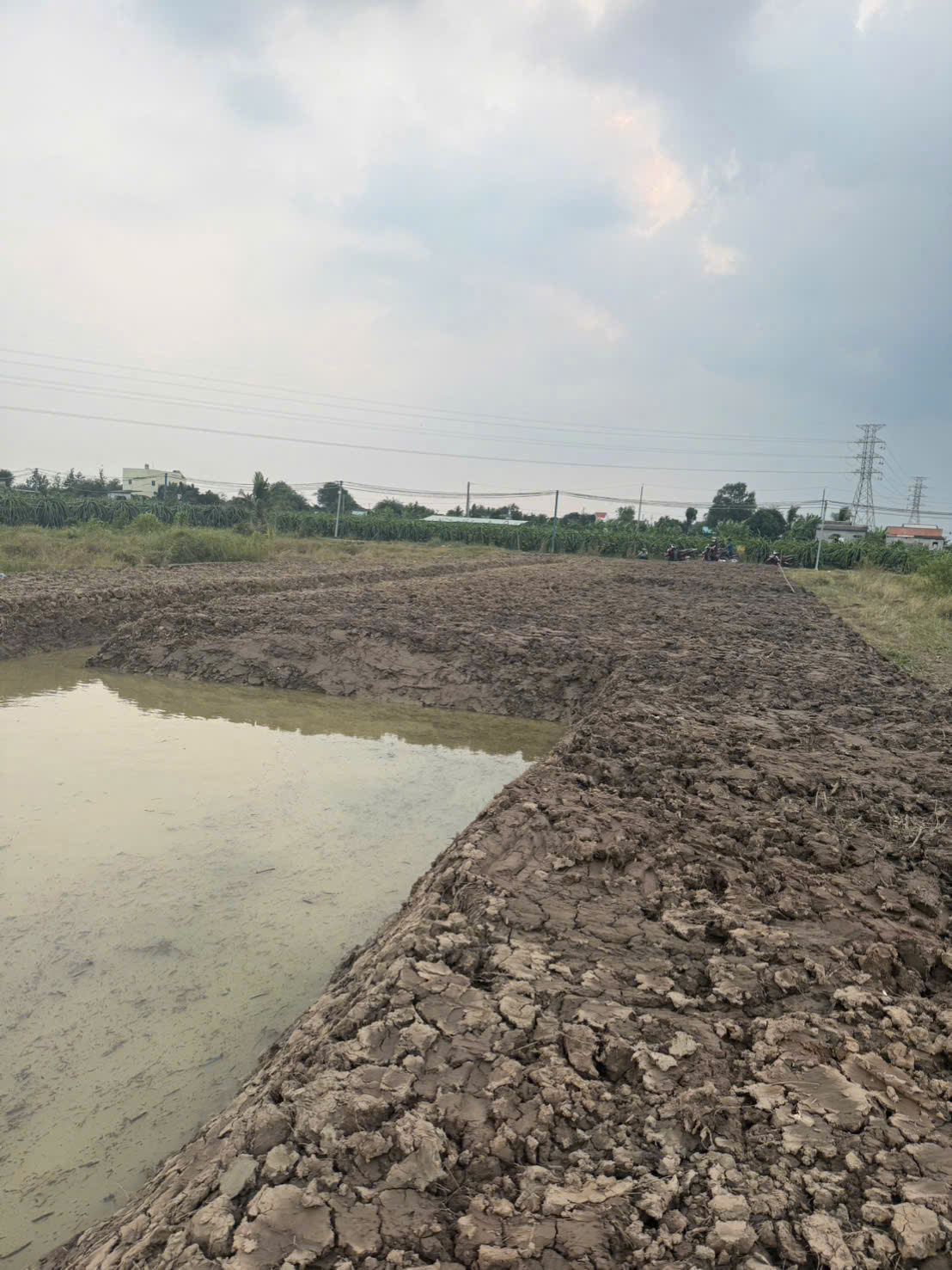 BÁN 1.000m² ĐẤT VƯỜN GIÁ MỀM – GẦN CHỢ CẦU VUÔNG - CHÂU THÀNH, LONG AN
