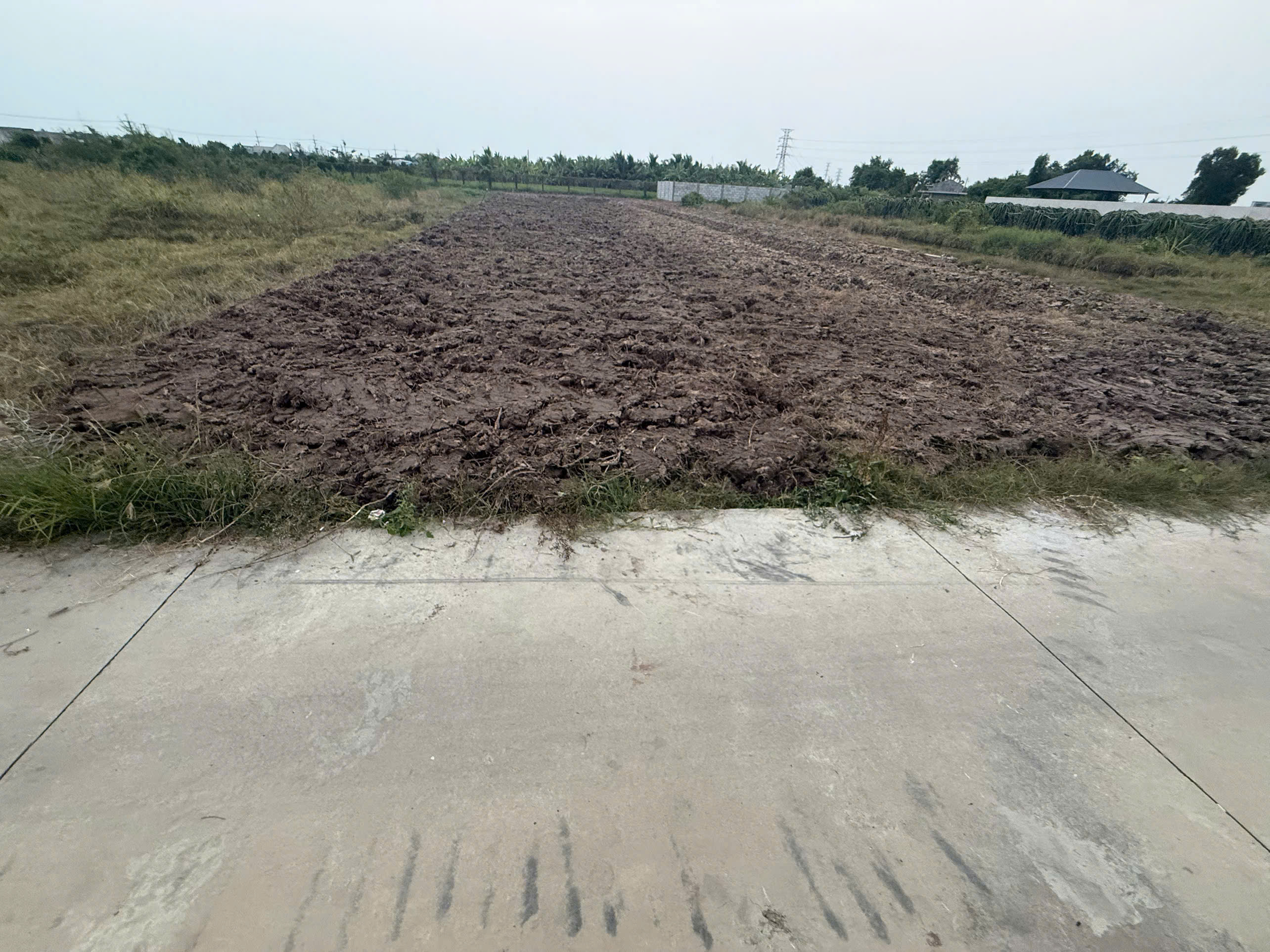 BÁN 1.000m² ĐẤT VƯỜN GIÁ MỀM – GẦN CHỢ CẦU VUÔNG - CHÂU THÀNH, LONG AN-3