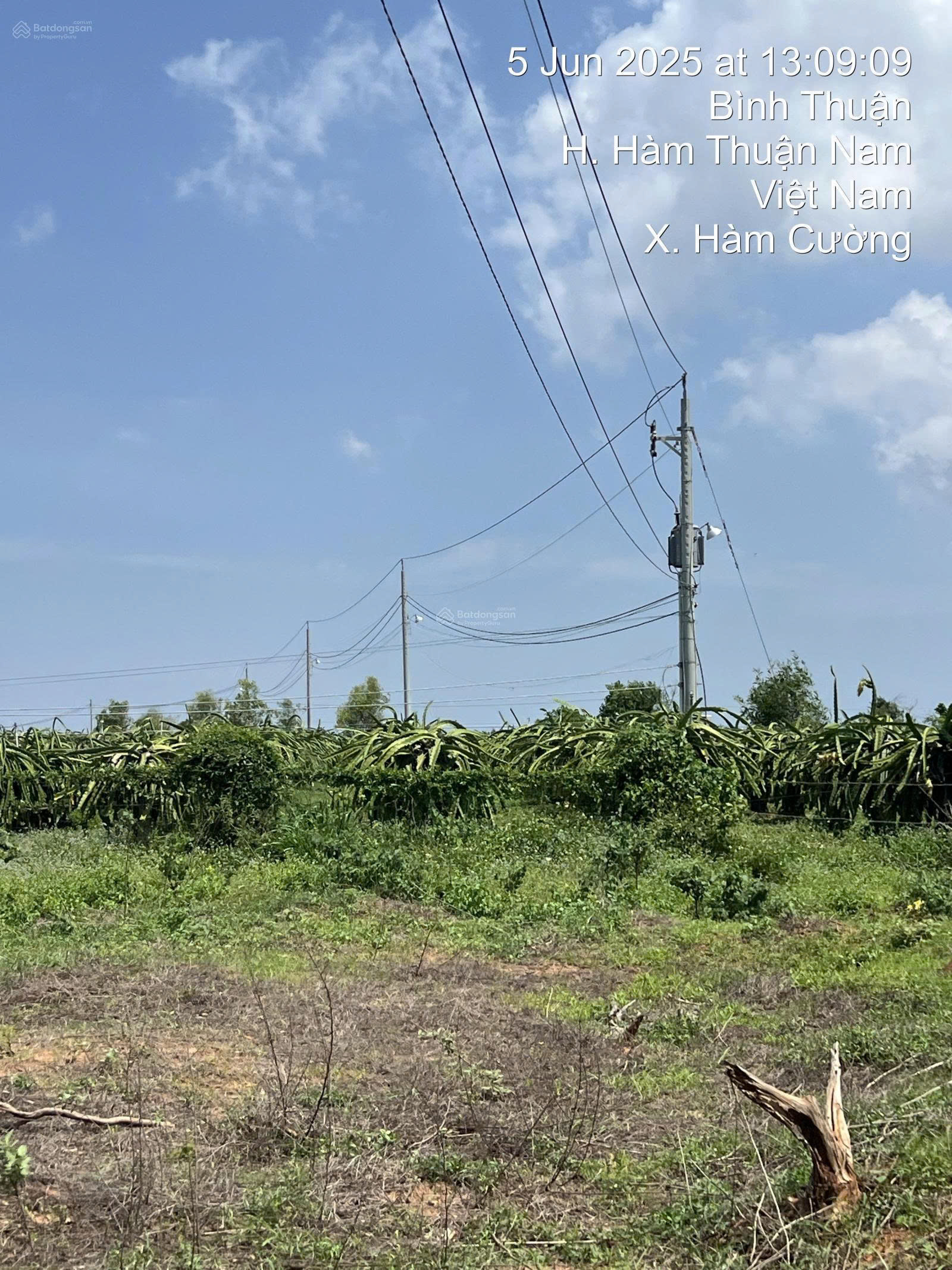 CHÍNH CHỦ BÁN TRANG TRẠI – KHU NGHỈ DƯỠNG 10,3HA – GIÁ CHỈ 23,5 TỶ