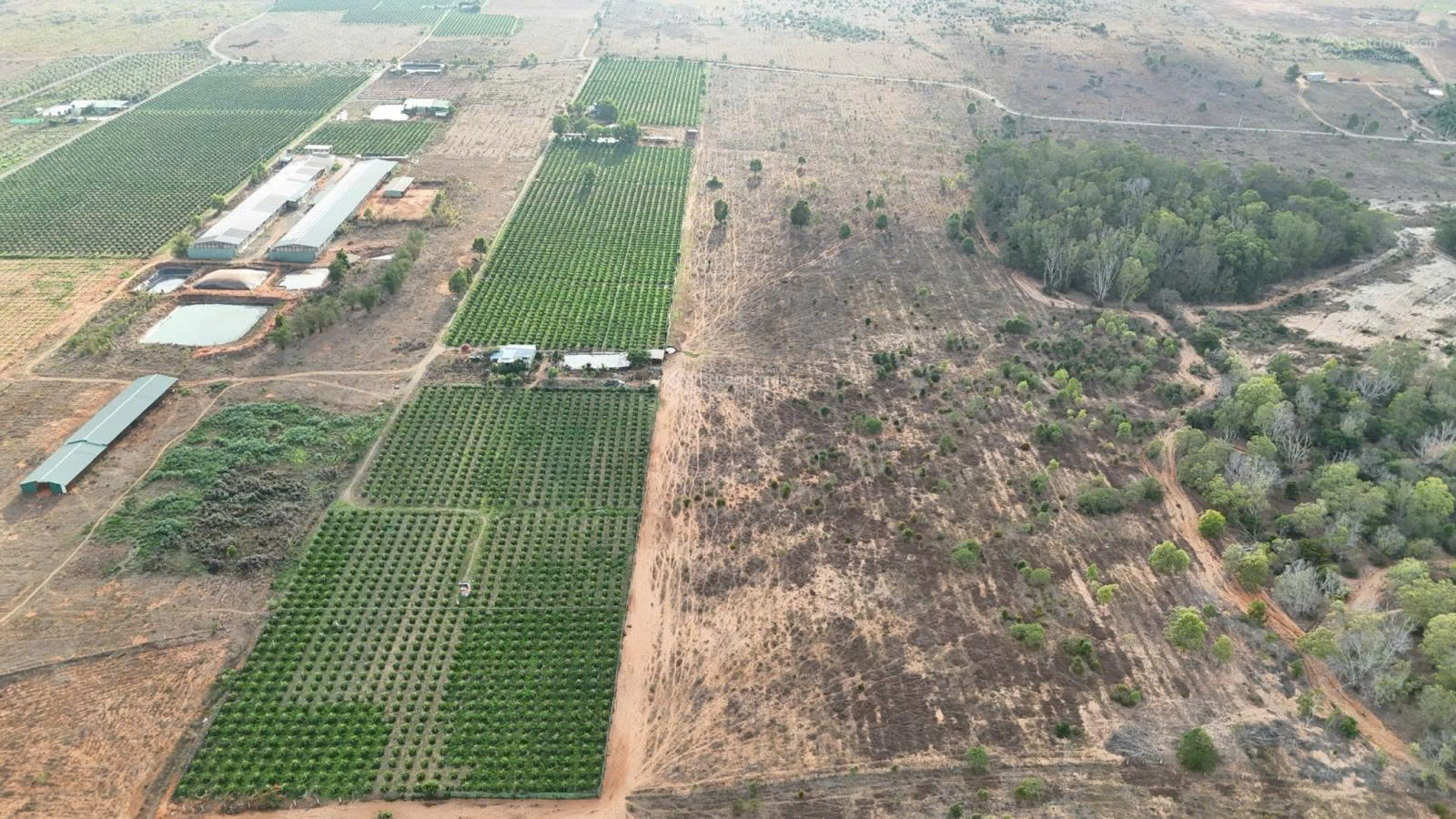 CHÍNH CHỦ BÁN TRANG TRẠI – KHU NGHỈ DƯỠNG 10,3HA – GIÁ CHỈ 23,5 TỶ-3