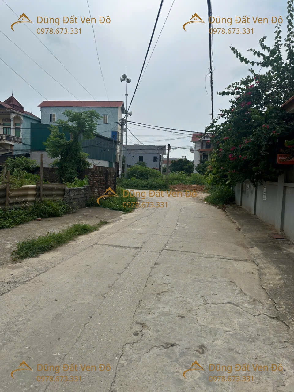 203M PHÚ NGHĨA-CHƯƠNG MỸ-HÀ NỘI