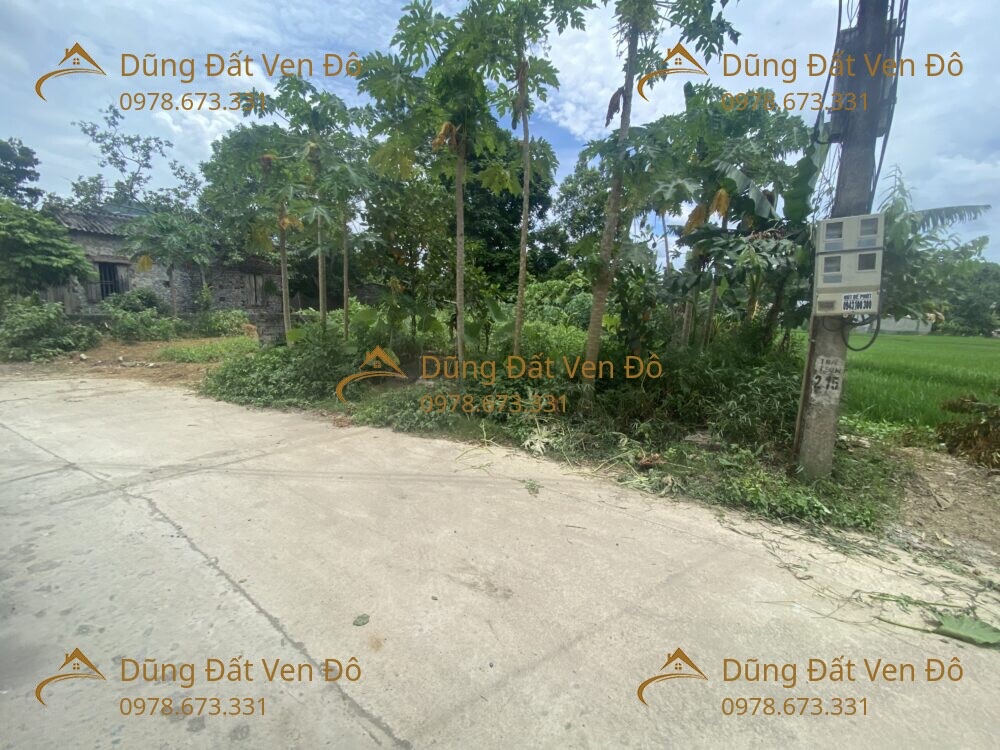 2 LÔ 143,9M VÀ 143,8M TRUNG SƠN-LƯƠNG SƠN-HÒA BÌNH-4