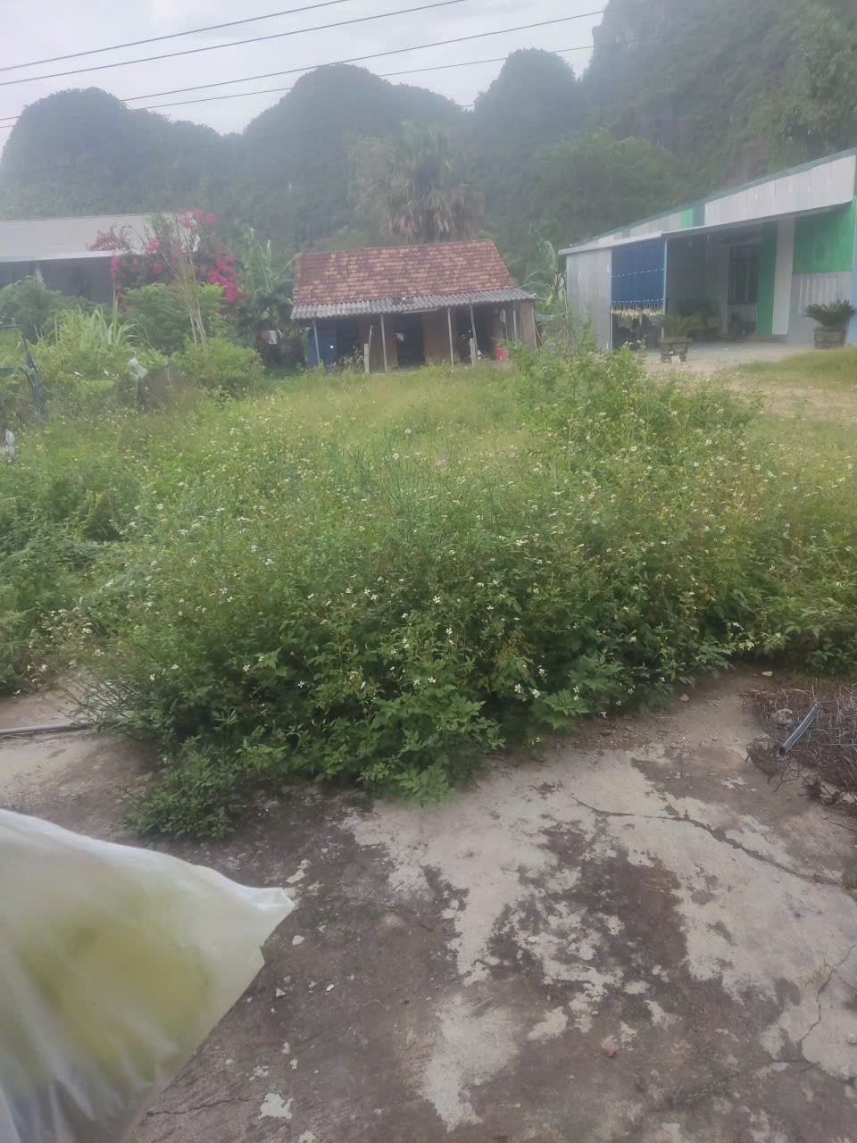CHÍNH CHỦ CẦN BÁN ĐẤT MẶT TIỀN QUỐC LỘ 12A -VỊ TRÍ KINH DOANH ĐẸP Tại Quy Đạt, Minh Hóa, Quảng Bình