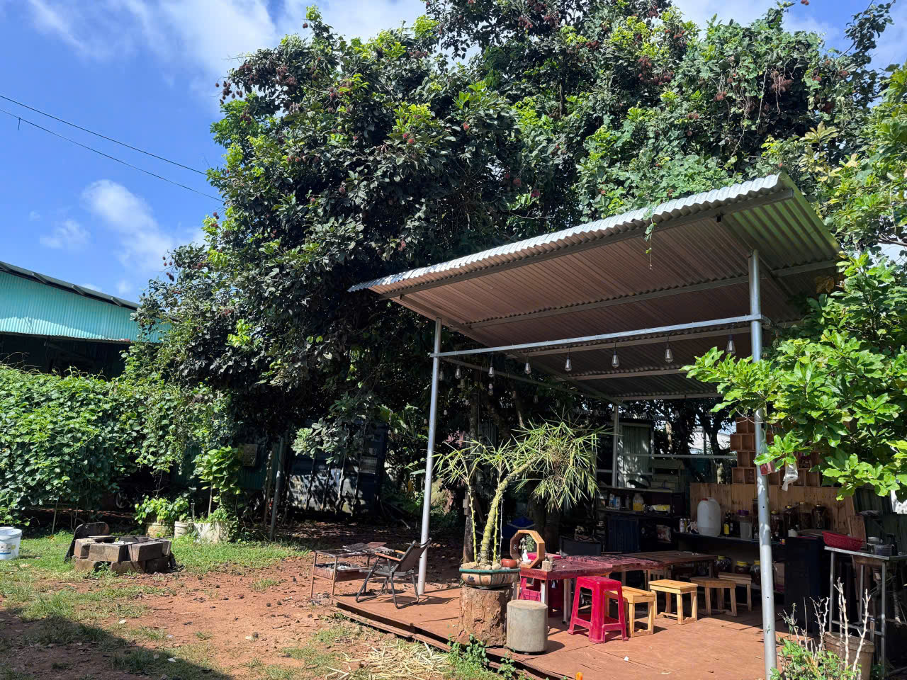 CƠ HỘI ĐẦU TƯ SINH LỜI – CHÍNH CHỦ BÁN QUỸ ĐẤT 8.010m² TẠI Phường Xuân Tân, TP Long Khánh, Đồng Nai