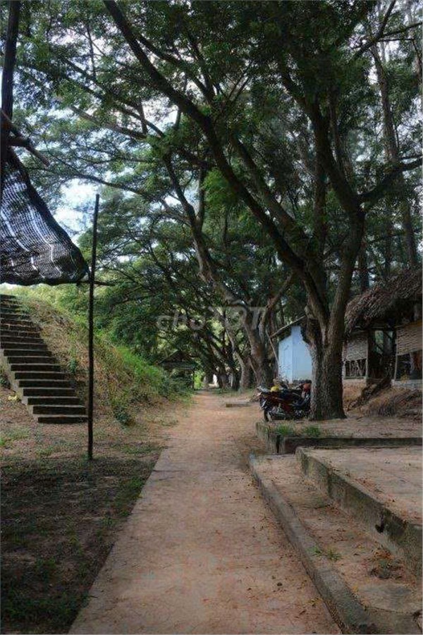 ĐẤT ĐẸP – GIÁ TỐT – CHÍNH CHỦ CẦN BÁN KHU DU LỊCH SINH THÁI xã Hàm Liêm,Hàm Thuận Bắc, Bình Thuận-3