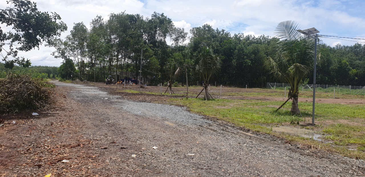 ĐẦU TƯ SINH LỜI – CHÍNH CHỦ CẦN BÁN ĐẤT TẠI Thị trấn Tân Khai, huyện Hớn Quản, Bình Phước