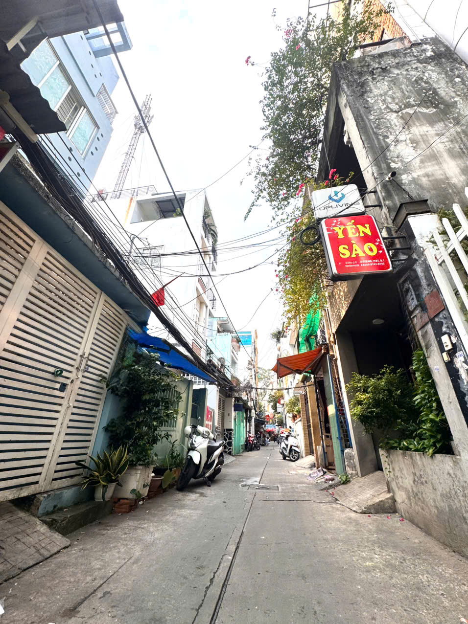 SIÊU HIẾM DT LỚN 227M2 FULL THỔ - NGANG 9,3M*23M VUÔNG ĐẸP - BÁN NHÀ MẶT TIỀN HẺM XE HƠI Đ.LÊ THỊ RIÊNG, BÊN THÀNH, QUẬN 1 - GIANG GIANG 0938676685 GẶP CHÍNH CHỦ