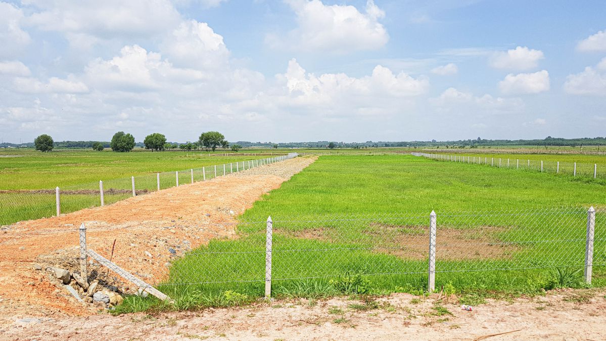 790 triệu sở hữu ngay 530m² đất gần chợ Phước Thạnh
