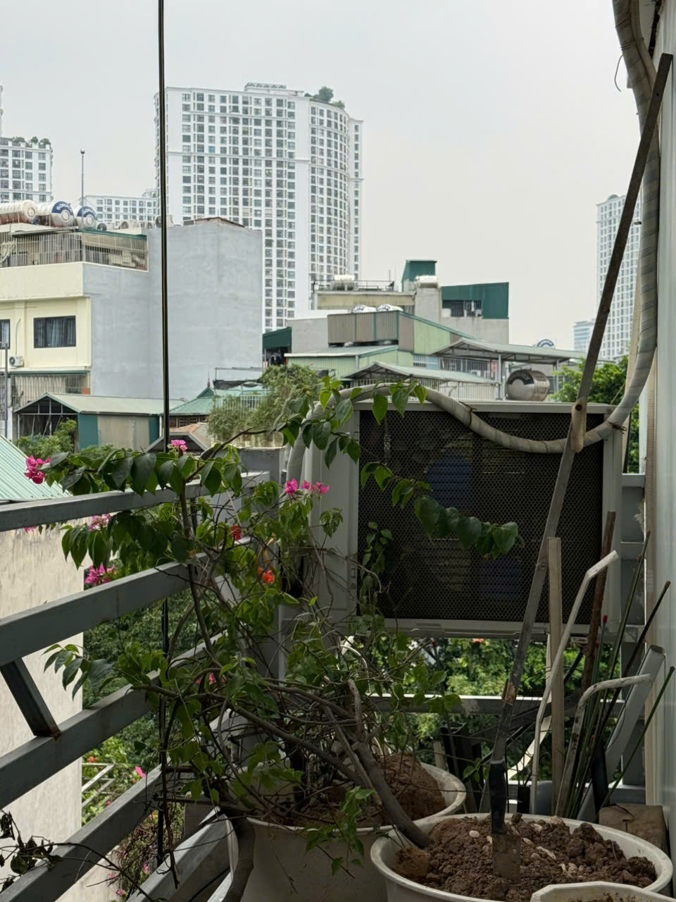 BÁN NHÀ 6 TẦNG DÒNG TIỀN – NGÕ 58 VŨ TRỌNG PHỤNG, THANH XUÂN – 70M²
