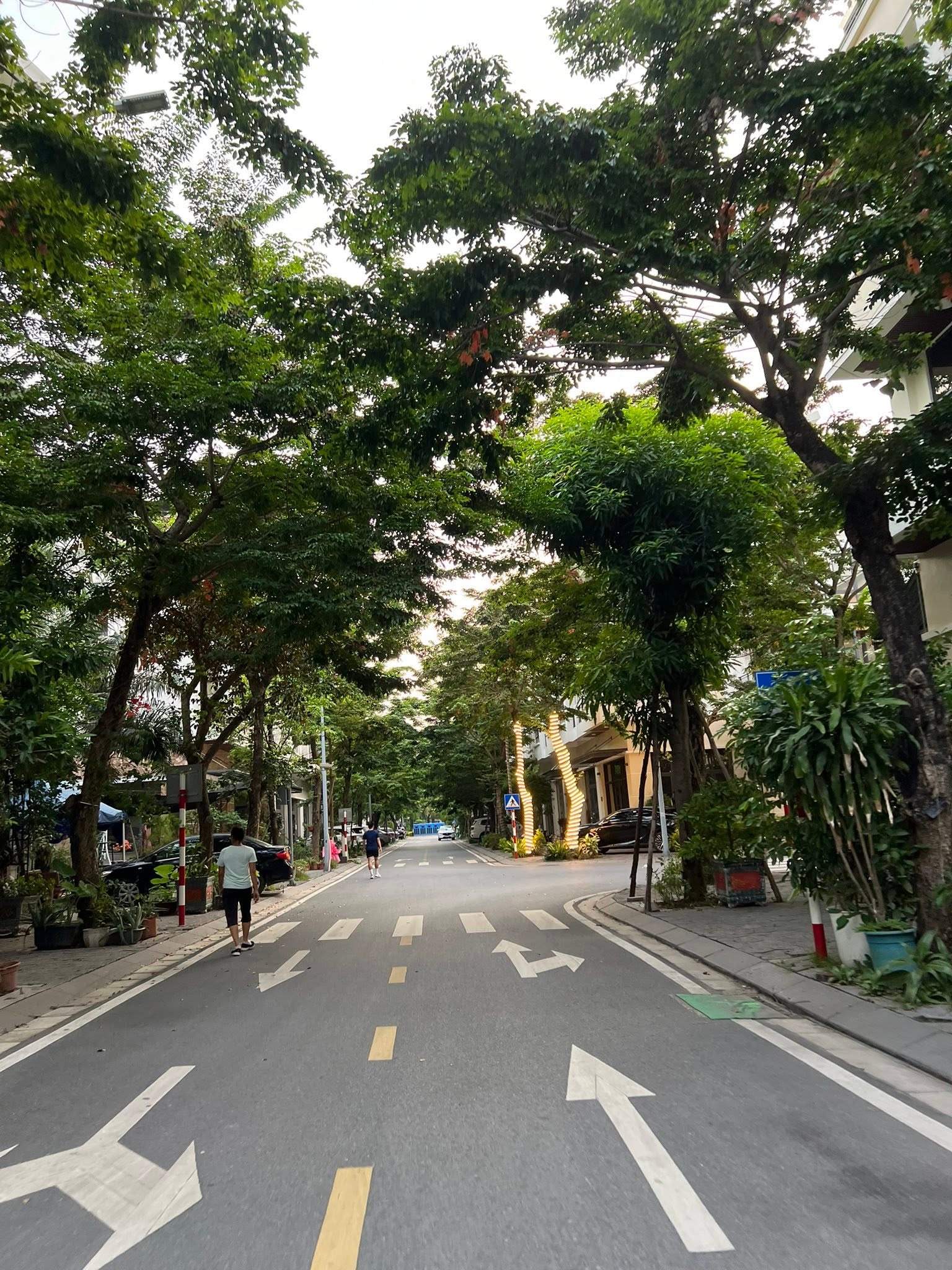 Bán liền kề mặt phố Lê Anh Xuân, khu Vườn Thiền, Ecopark Hải Dương, 96m2, mt 6m, 3.5 tầng thô 