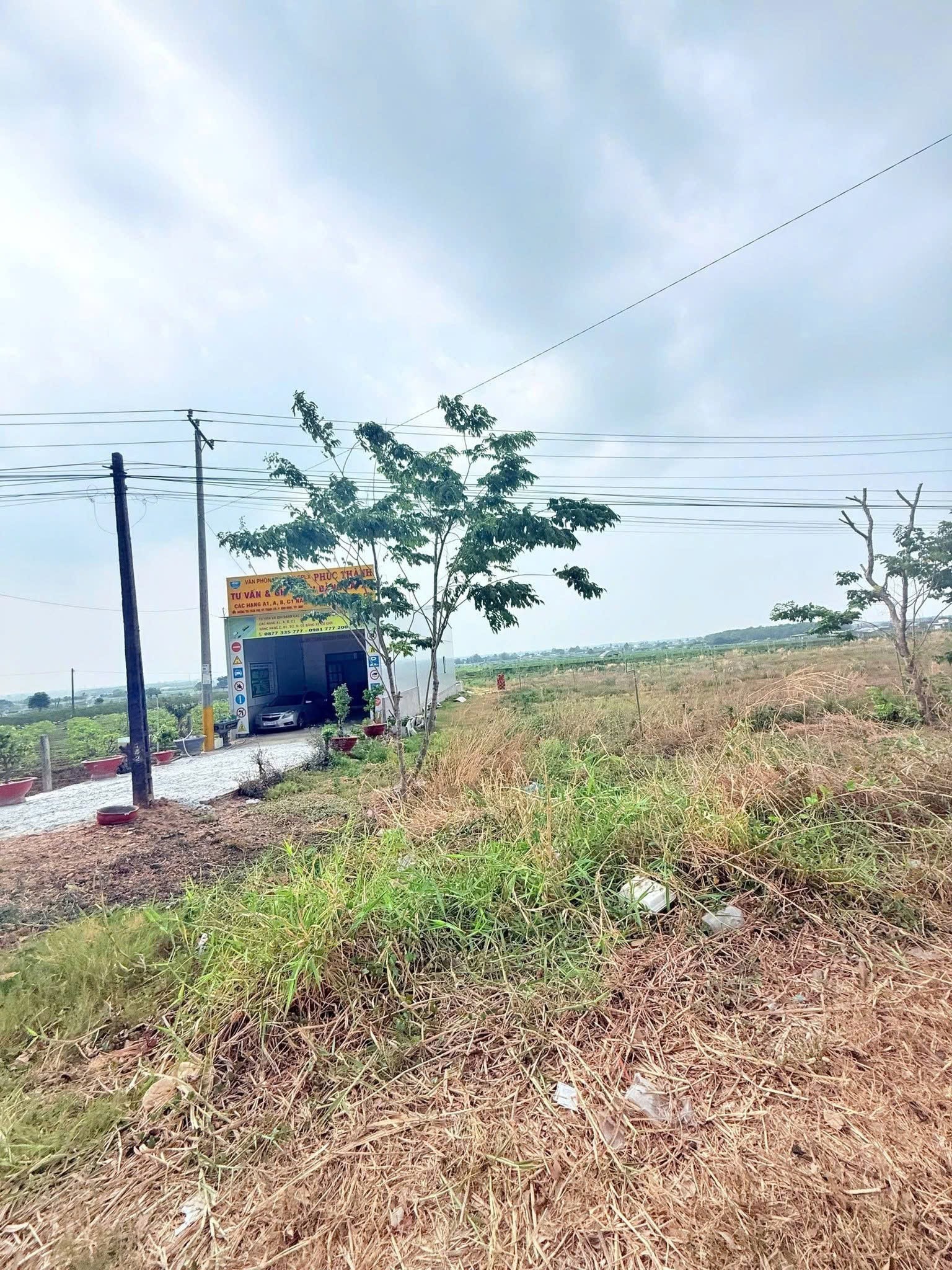 ĐẤT CHÍNH CHỦ - MẶT TIỀN Đường Trần Phú, Xã Tân Bình, TP Tây Ninh, Tỉnh Tây Ninh-4