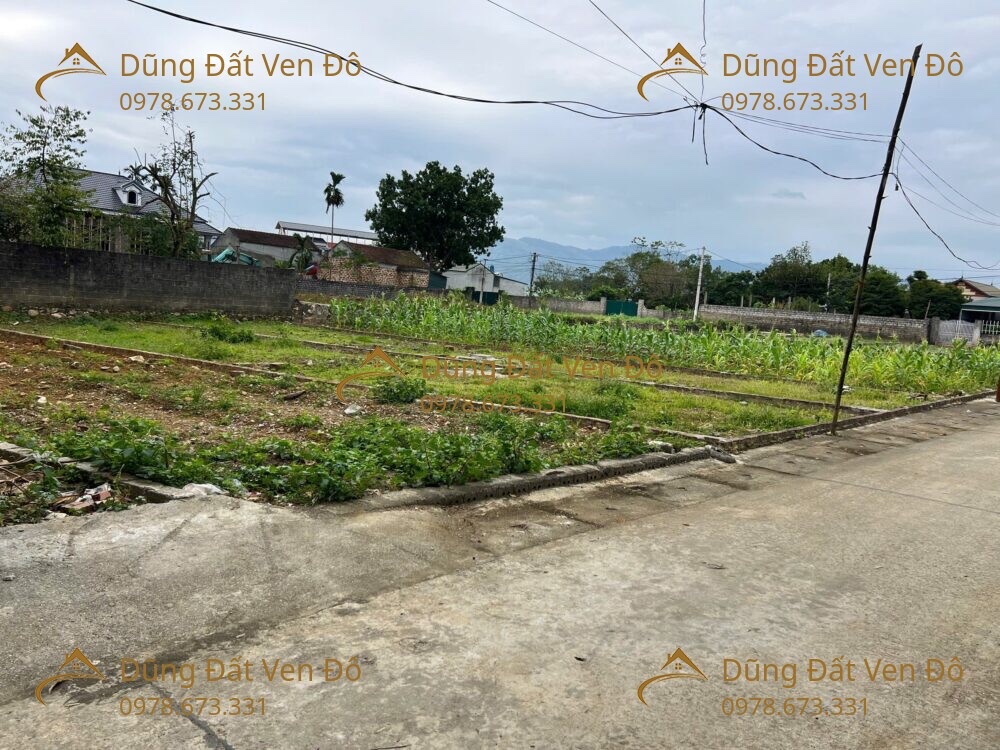 102M TÂN TIẾN-CHƯƠNG MỸ-HÀ NỘI