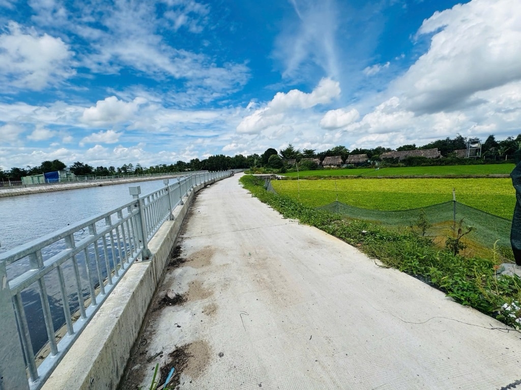 [D2707] Đất ven sông 4819m2 Thạnh Xuân 33 Q12 - Giá 2x tỷ-3